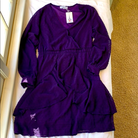 NWT Swiss Dot Purple Dress        Size: Medium - Picture 3 of 13